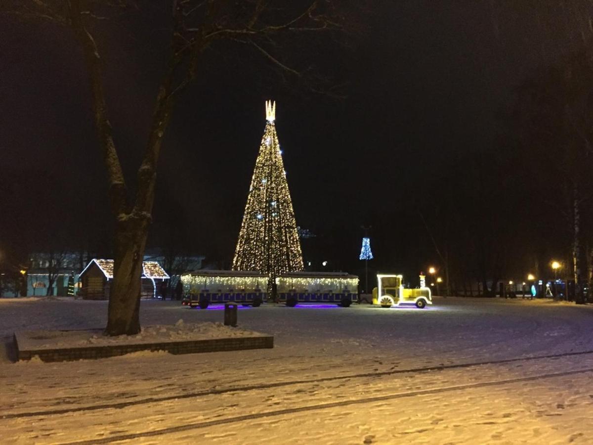 Lux Apartment Druskininkai Kültér fotó