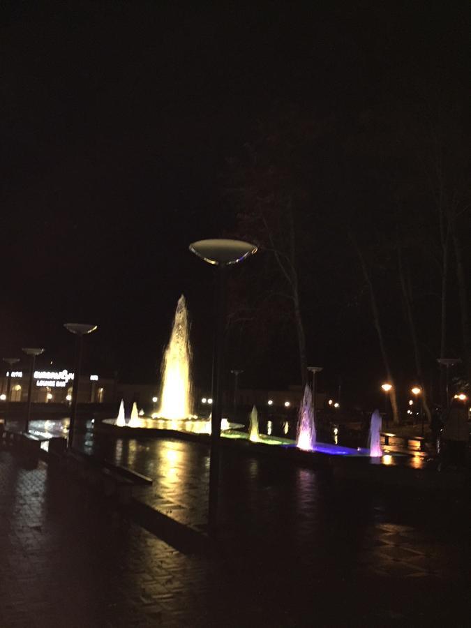 Lux Apartment Druskininkai Kültér fotó