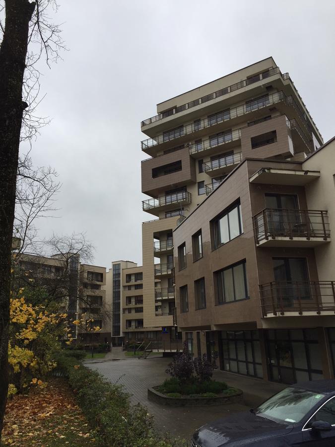 Lux Apartment Druskininkai Kültér fotó