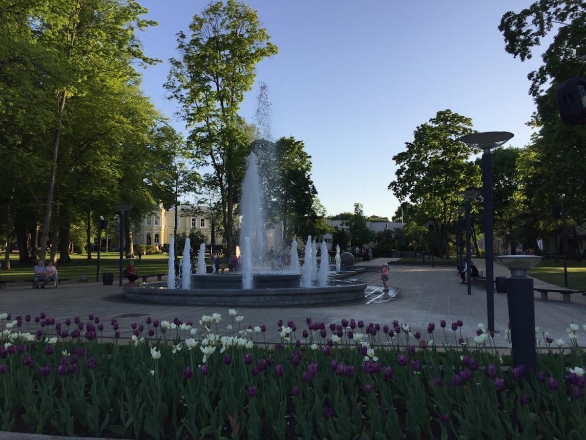 Lux Apartment Druskininkai Kültér fotó